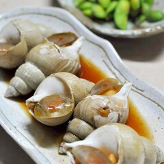 簡単 美味しい お酒のおともに バイ貝の煮付け レシピ 作り方 By まんまるcom 楽天レシピ 簡単 美味しい お酒のおともに バイ貝の煮付け レシピ 作り方 By まんまるcom 楽天レシピ